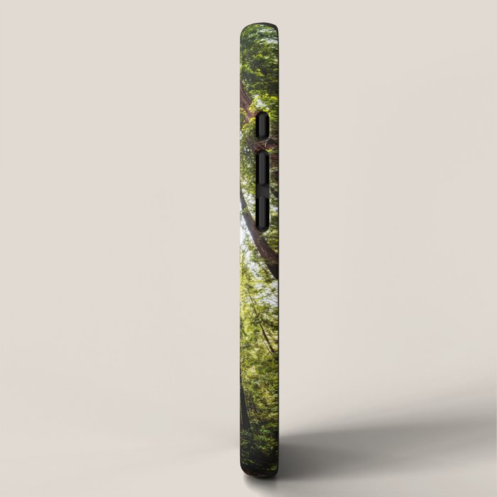 humboldt redwood forest iPhone Case Gallery Image 2
