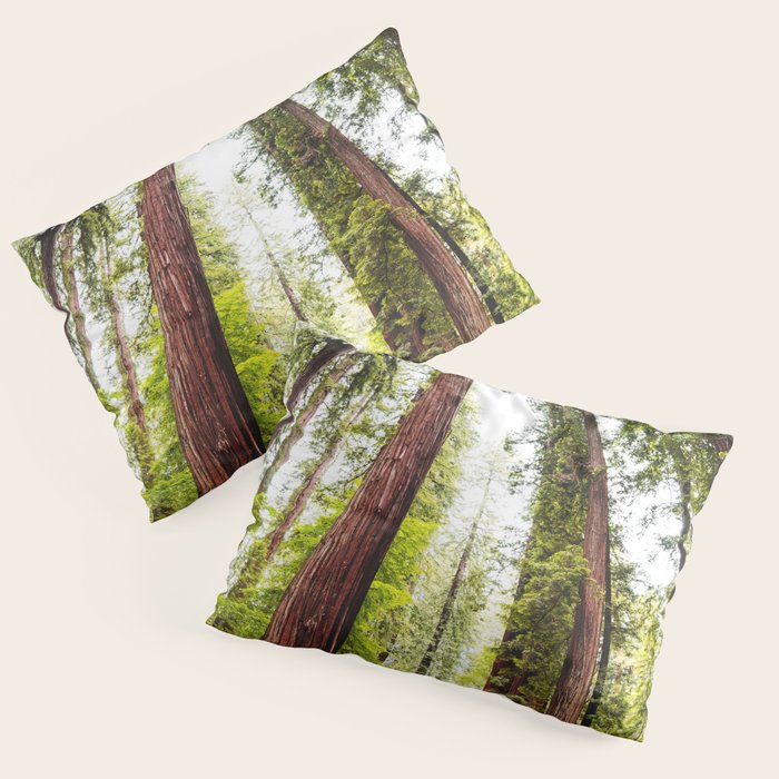 humboldt redwood forest Pillow Sham
