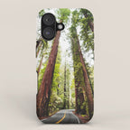 humboldt redwood forest iPhone Case Gallery Image 1