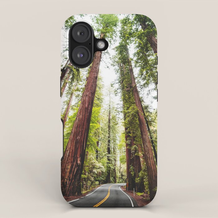 humboldt redwood forest iPhone Case Gallery Image 1