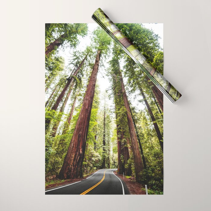 humboldt redwood forest Wrapping Paper