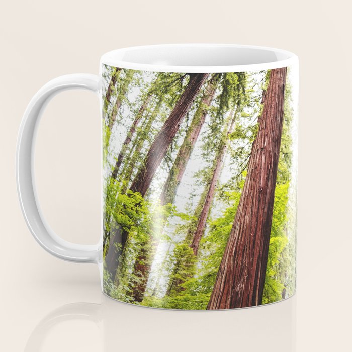 humboldt redwood forest Coffee Mug Gallery Image 3