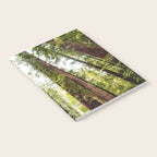 humboldt redwood forest Notebook Gallery Image 2