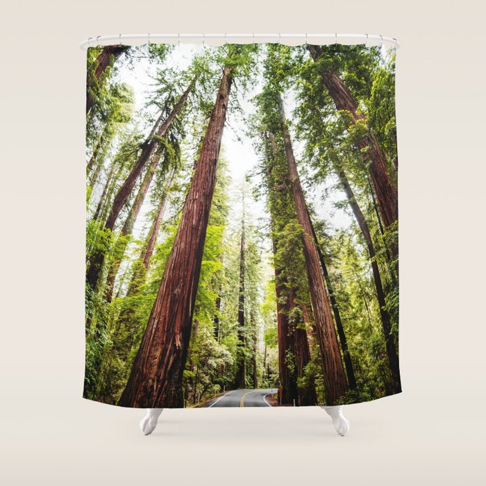 humboldt redwood forest Shower Curtain Gallery Image 1