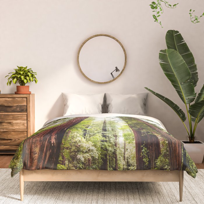 humboldt redwood forest Comforter Gallery Image 3