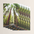 humboldt redwood forest Wrapping Paper Gallery Image 3