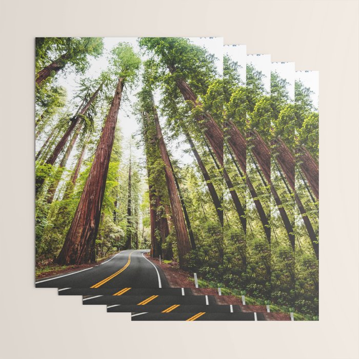 humboldt redwood forest Wrapping Paper Gallery Image 3