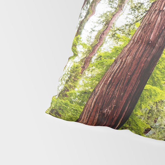 humboldt redwood forest Pillow Sham Gallery Image 4