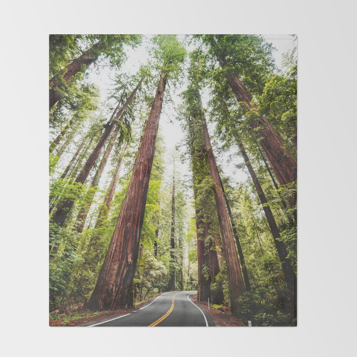 humboldt redwood forest Throw Blanket Gallery Image 2