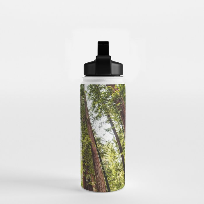 humboldt redwood forest Water Bottle Gallery Image 2