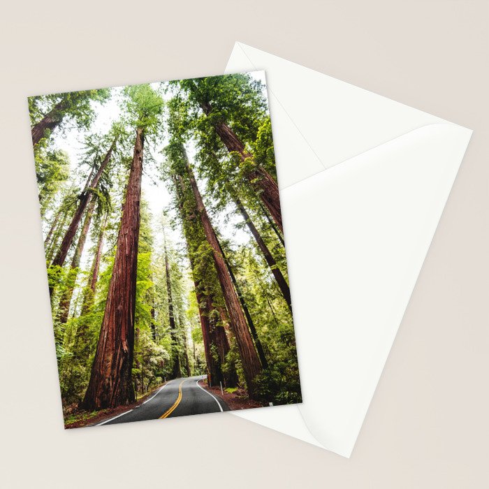 humboldt redwood forest Stationery Card Gallery Image 2
