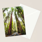 humboldt redwood forest Stationery Card Gallery Image 2