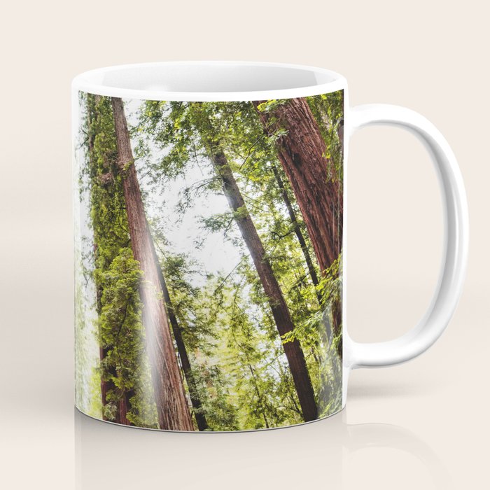 humboldt redwood forest Coffee Mug Gallery Image 1