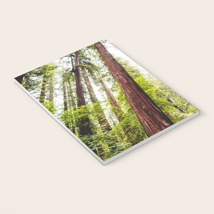 humboldt redwood forest Notebook Gallery Image 3