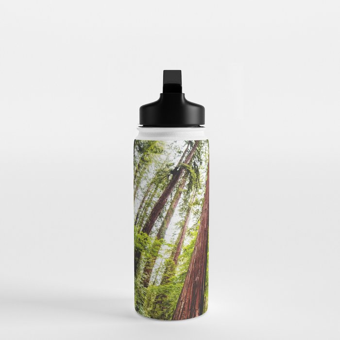humboldt redwood forest Water Bottle Gallery Image 3