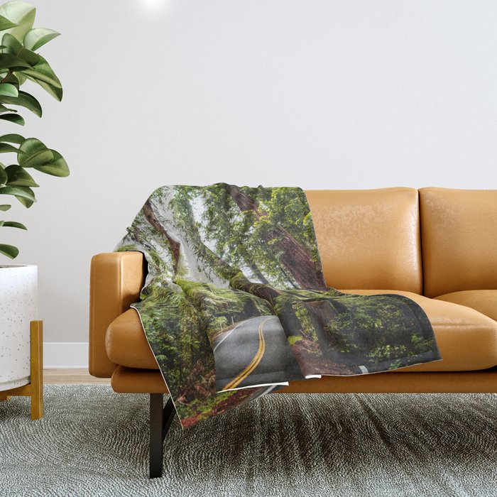 humboldt redwood forest Throw Blanket Gallery Image 1