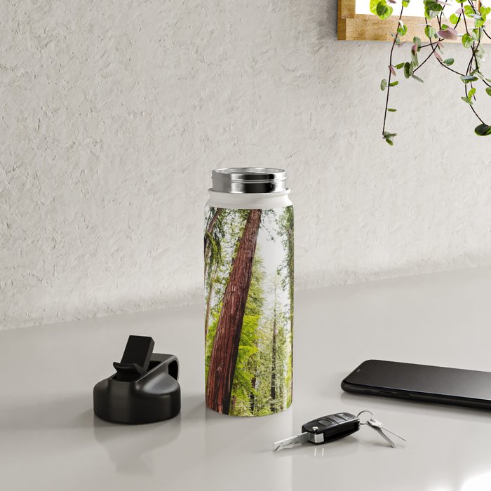 humboldt redwood forest Water Bottle Gallery Image 4