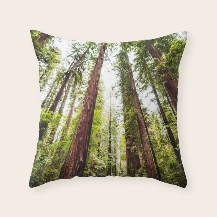 humboldt redwood forest Throw Pillow Gallery Image 1