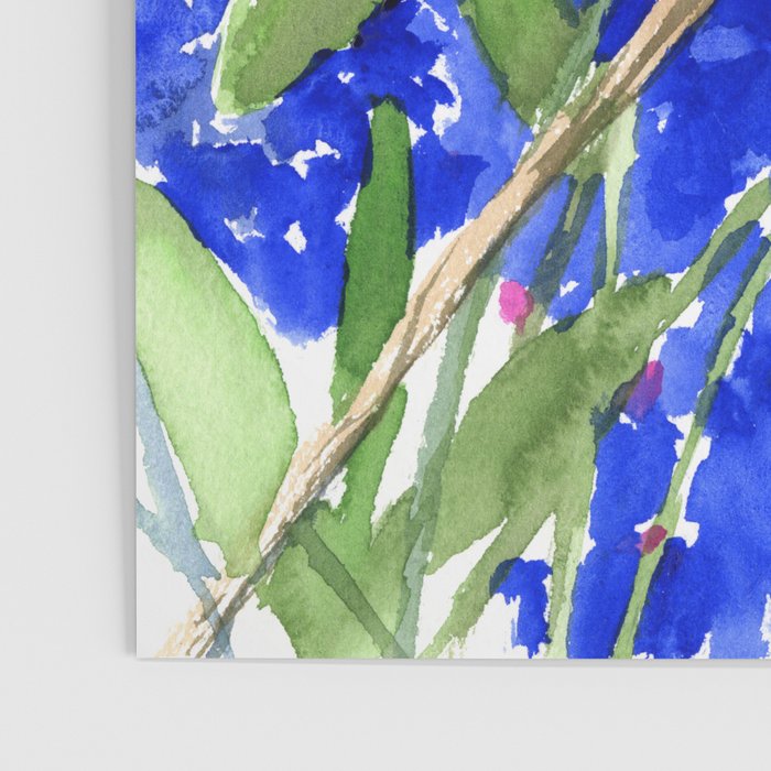 Texas State Bird and Flower, Mockingbird and Bluebonnet Poster Gallery Image 3