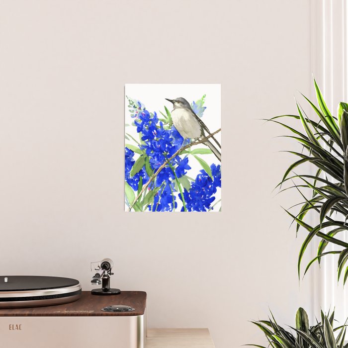 Texas State Bird and Flower, Mockingbird and Bluebonnet Poster Gallery Image 2