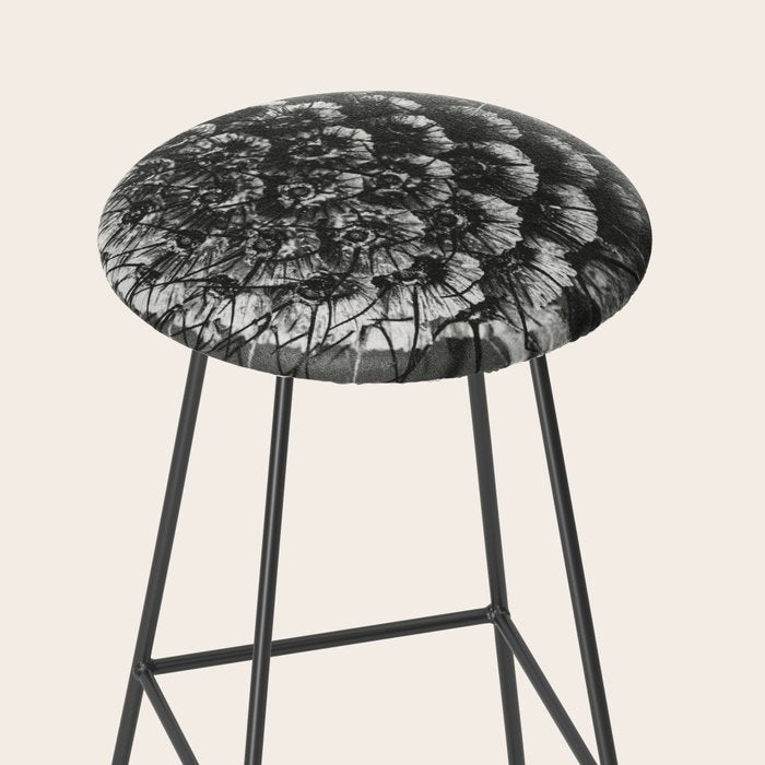Phacelia Tanacetifolia Lacy Phacelia wonders of nature black and white photograph by Karl Blossfeldt Stool Gallery Image 2