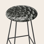 Phacelia Tanacetifolia Lacy Phacelia wonders of nature black and white photograph by Karl Blossfeldt Stool Gallery Image 2