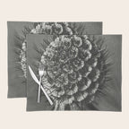 Phacelia Tanacetifolia Lacy Phacelia wonders of nature black and white photograph by Karl Blossfeldt Placemat Gallery Image 1
