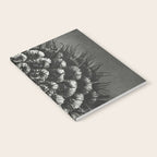 Phacelia Tanacetifolia Lacy Phacelia wonders of nature black and white photograph by Karl Blossfeldt Notebook Gallery Image 2