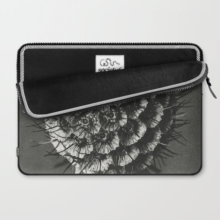 Phacelia Tanacetifolia Lacy Phacelia wonders of nature black and white photograph by Karl Blossfeldt Laptop Sleeve Gallery Image 2