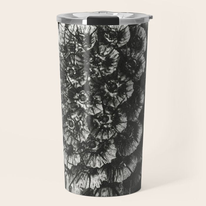 Phacelia Tanacetifolia Lacy Phacelia wonders of nature black and white photograph by Karl Blossfeldt Travel Mug Gallery Image 1