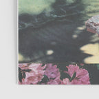 Sea Collections Poster Gallery Image 3