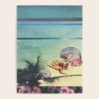 Sea Collections Poster Gallery Image 4