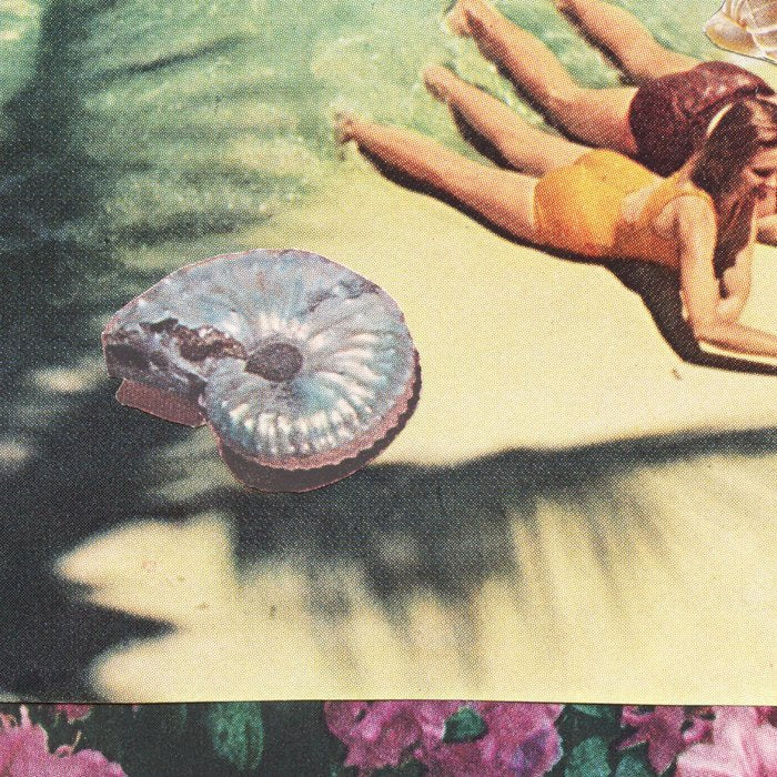 Sea Collections Coffee Mug Gallery Image 2