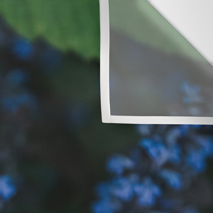 Bloom Time - Landscape and Nature Photography Wall Tapestry Gallery Image 3
