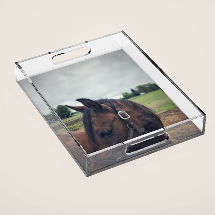 Poppy Acrylic Tray Gallery Image 1