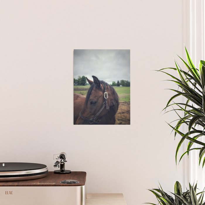 Poppy Poster Gallery Image 2