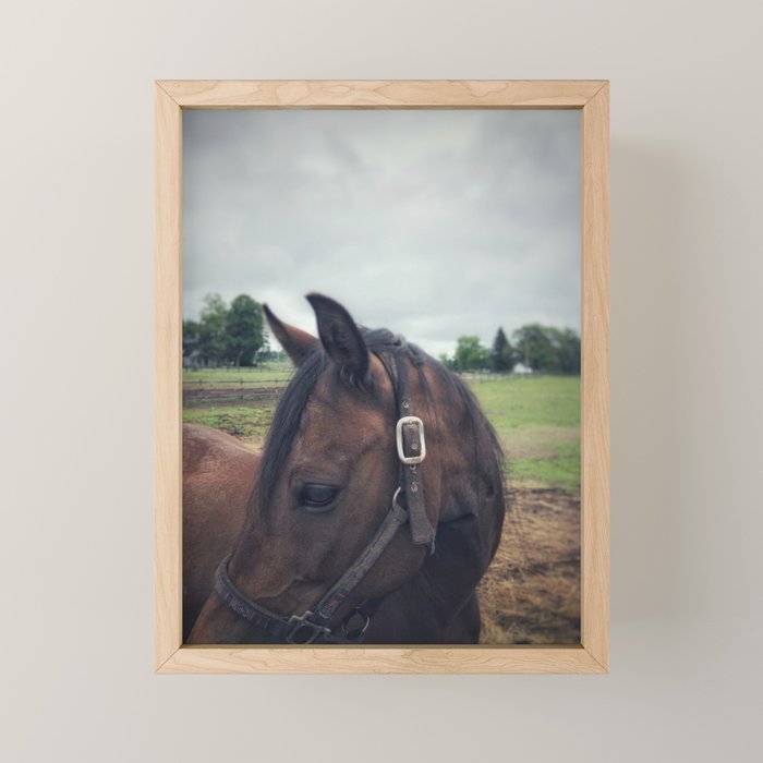 Poppy Mini Art Print Gallery Image 1