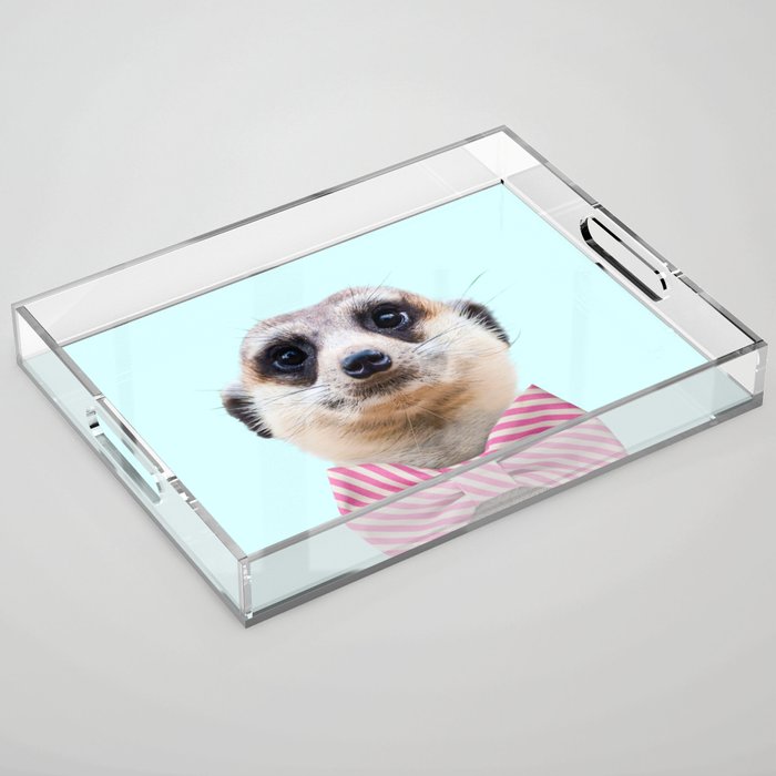 MEERKAT Acrylic Tray Gallery Image 1