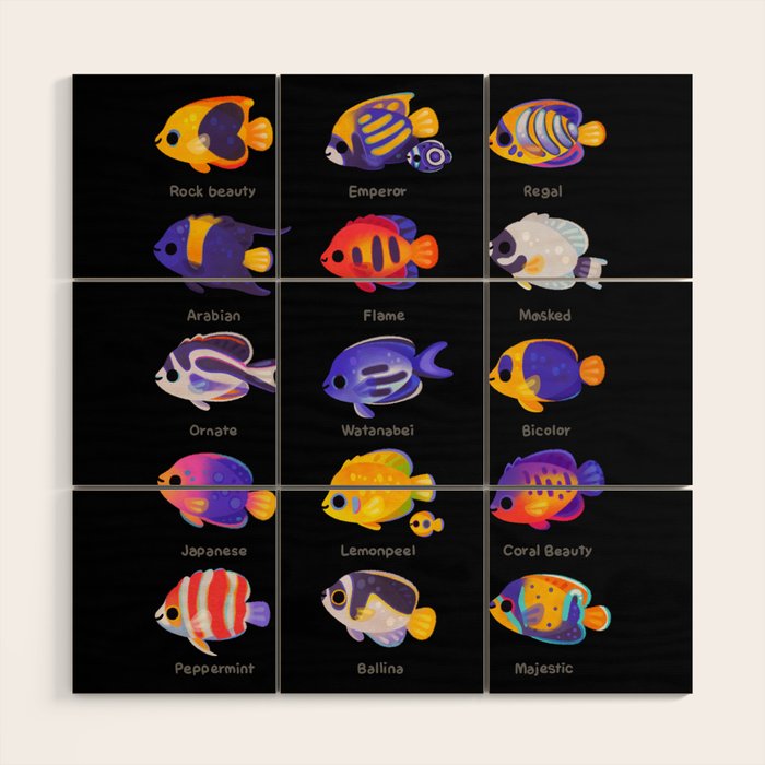 Angelfish! (marine) Wood Wall Art Gallery Image 1
