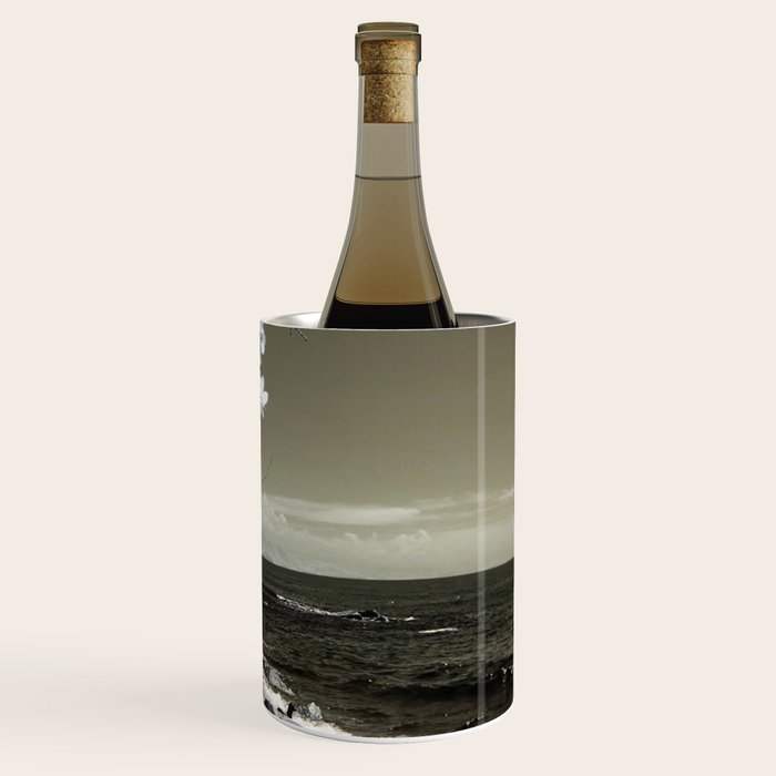 Coast 14 Wine Chiller Gallery Image 3