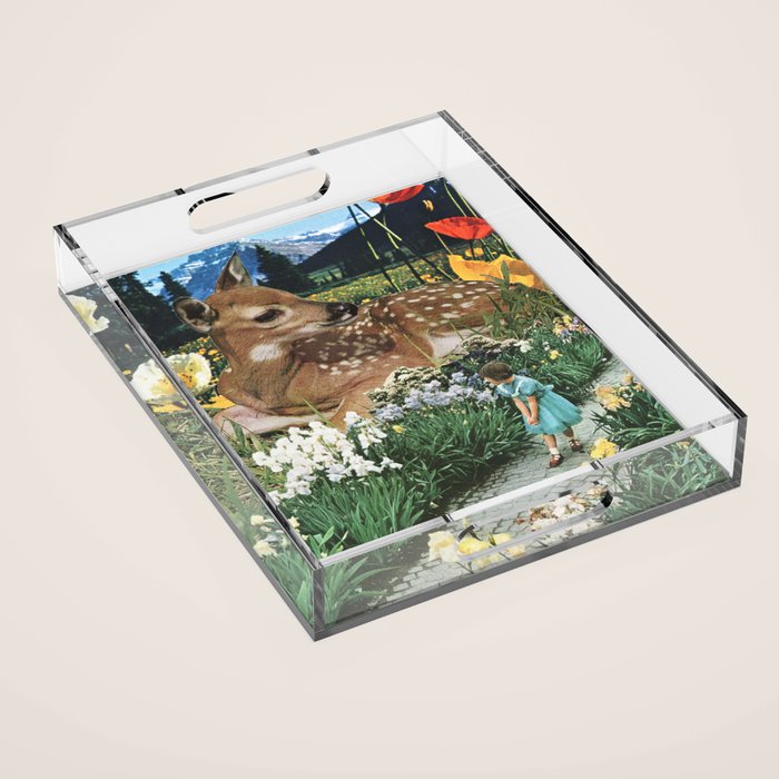 Discovery Acrylic Tray Gallery Image 1
