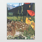 Discovery Notebook Gallery Image 4
