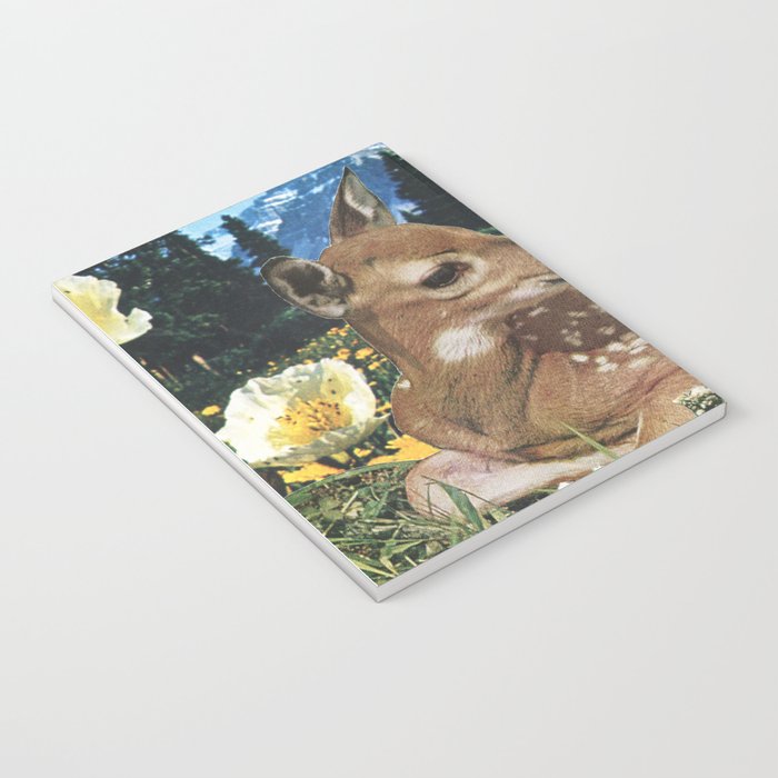 Discovery Notebook Gallery Image 3
