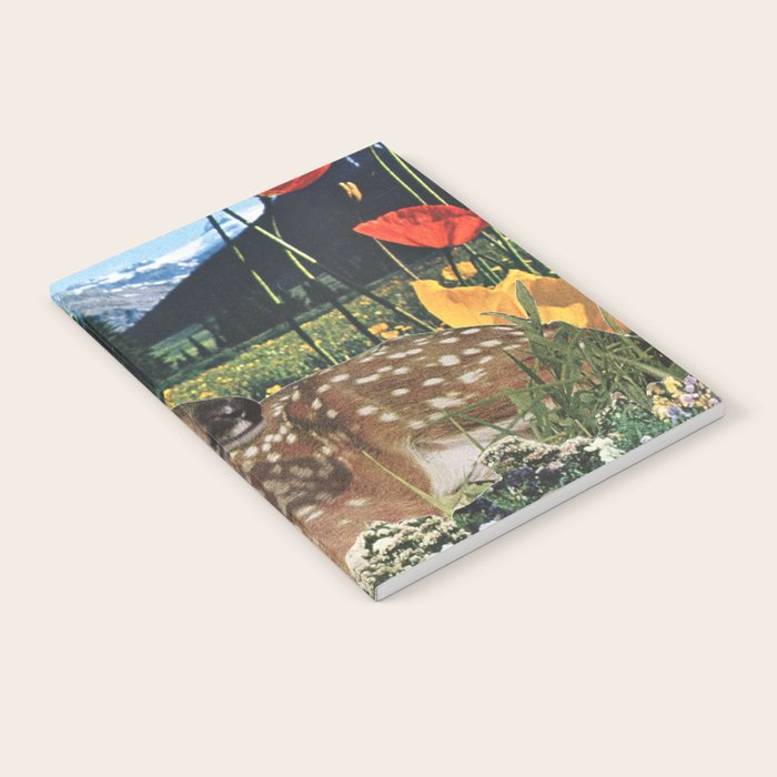 Discovery Notebook Gallery Image 2