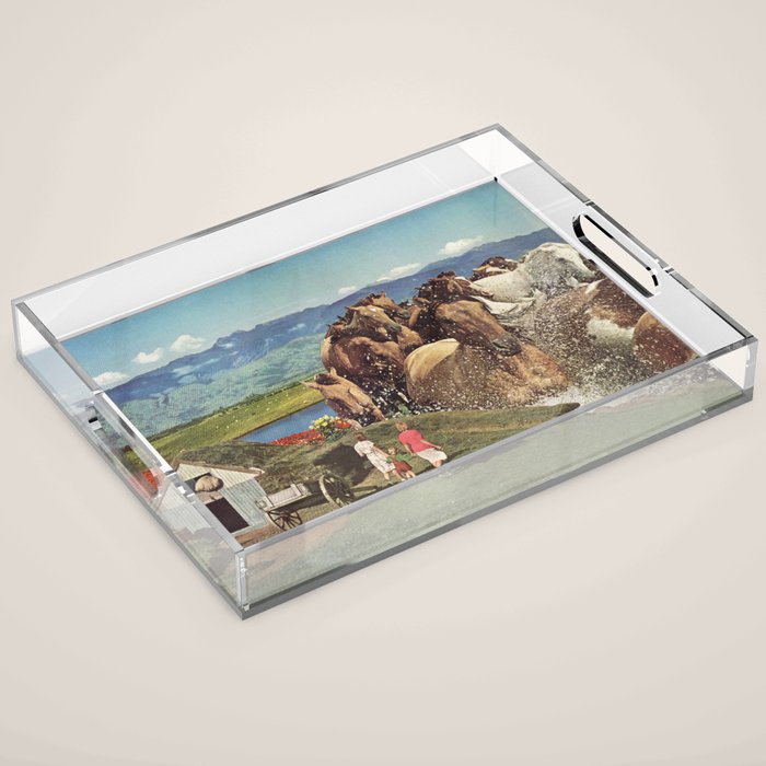 Stampede Acrylic Tray Gallery Image 1