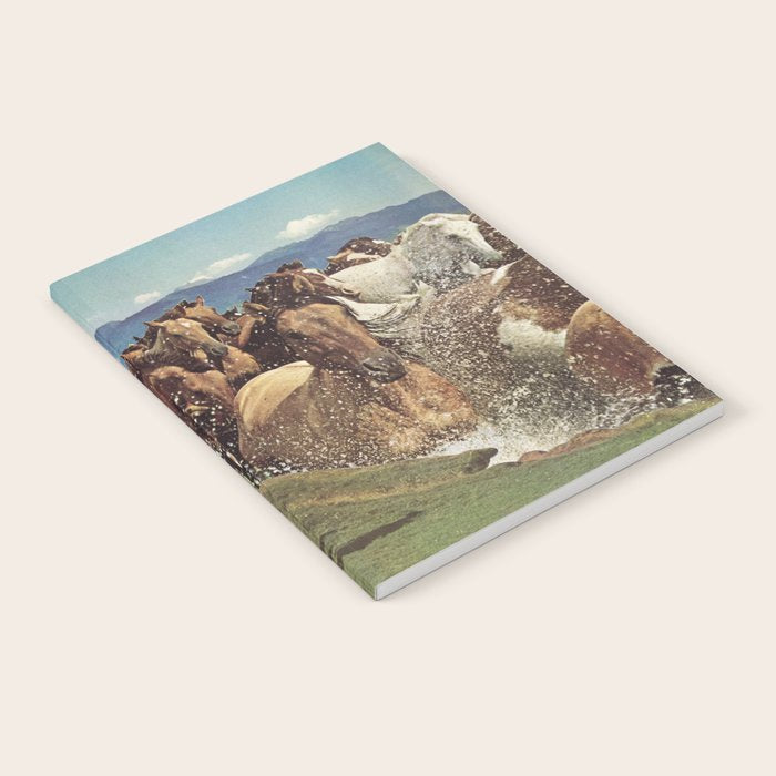 Stampede Notebook Gallery Image 2