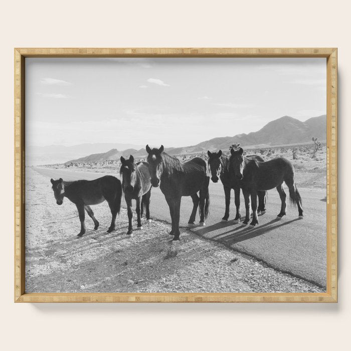 Cold Creek Horse Crew Serving Tray Gallery Image 1