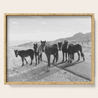 Cold Creek Horse Crew Serving Tray Gallery Image 1