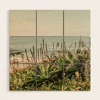 Coastal Agave Wood Wall Art Gallery Image 1