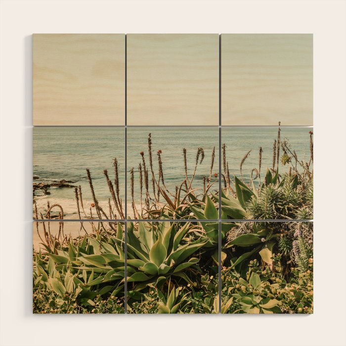 Coastal Agave Wood Wall Art Gallery Image 1